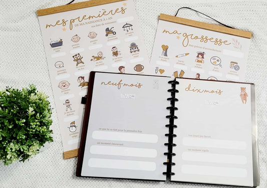 Kit Kassandre Bastarache - Survivor Québec et Survivor Australia V The World