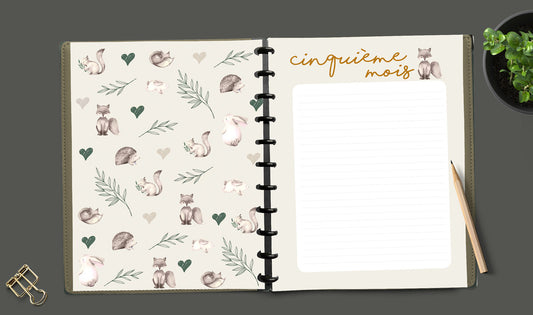 Livre à disques de la grossesse à la petite enfance - Douce nature