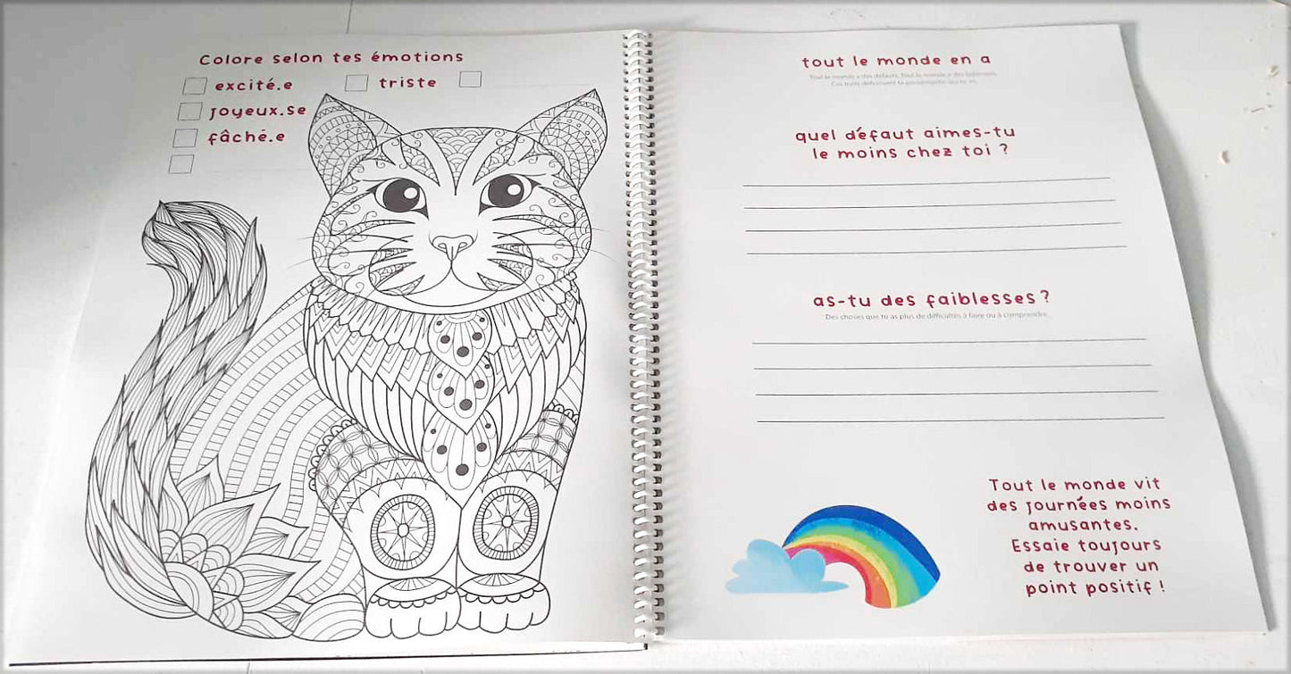 Stickeepals - Cahier magique