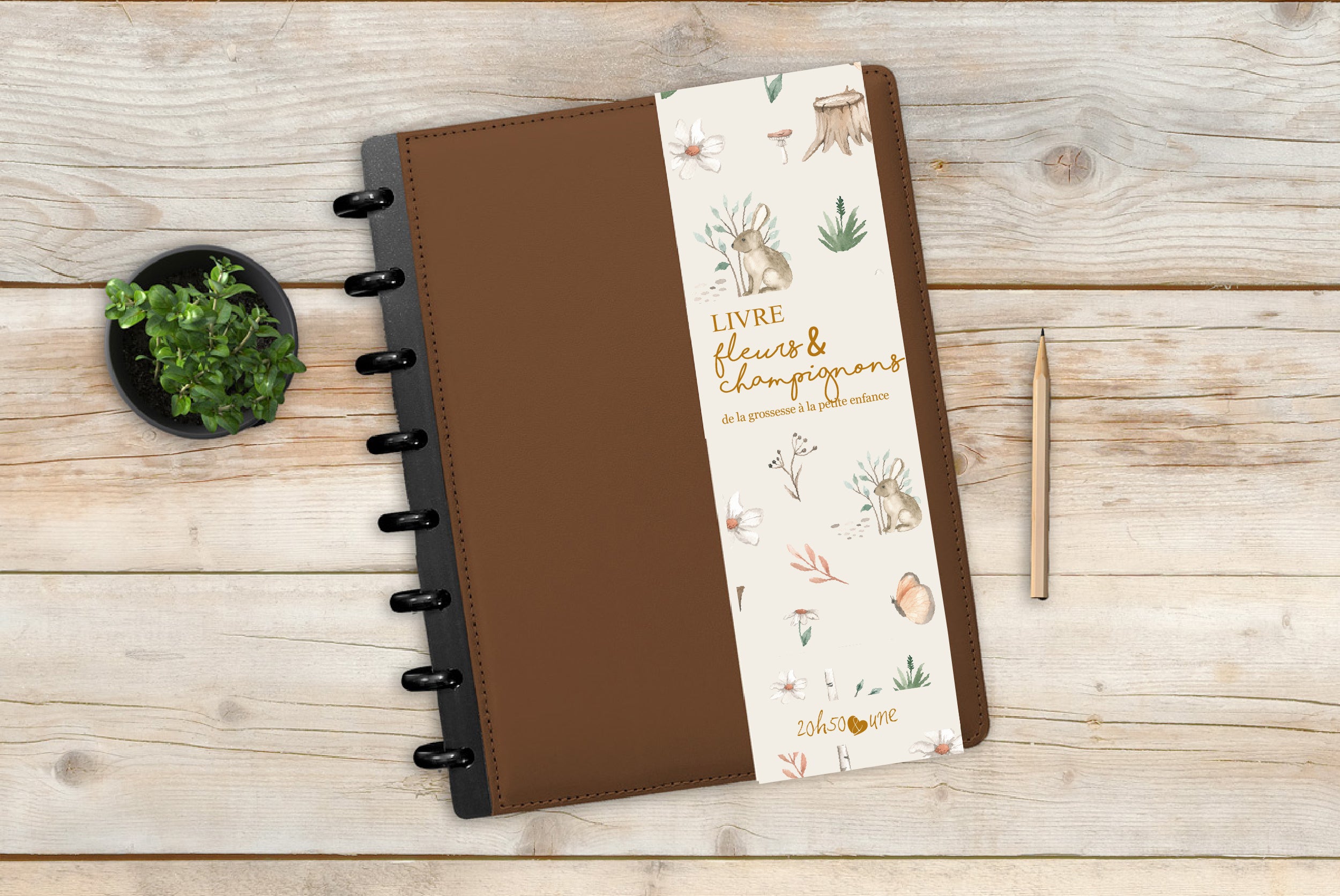 Kit Kassandre - Affiches et livre à disques de la grossesse à la petite enfance