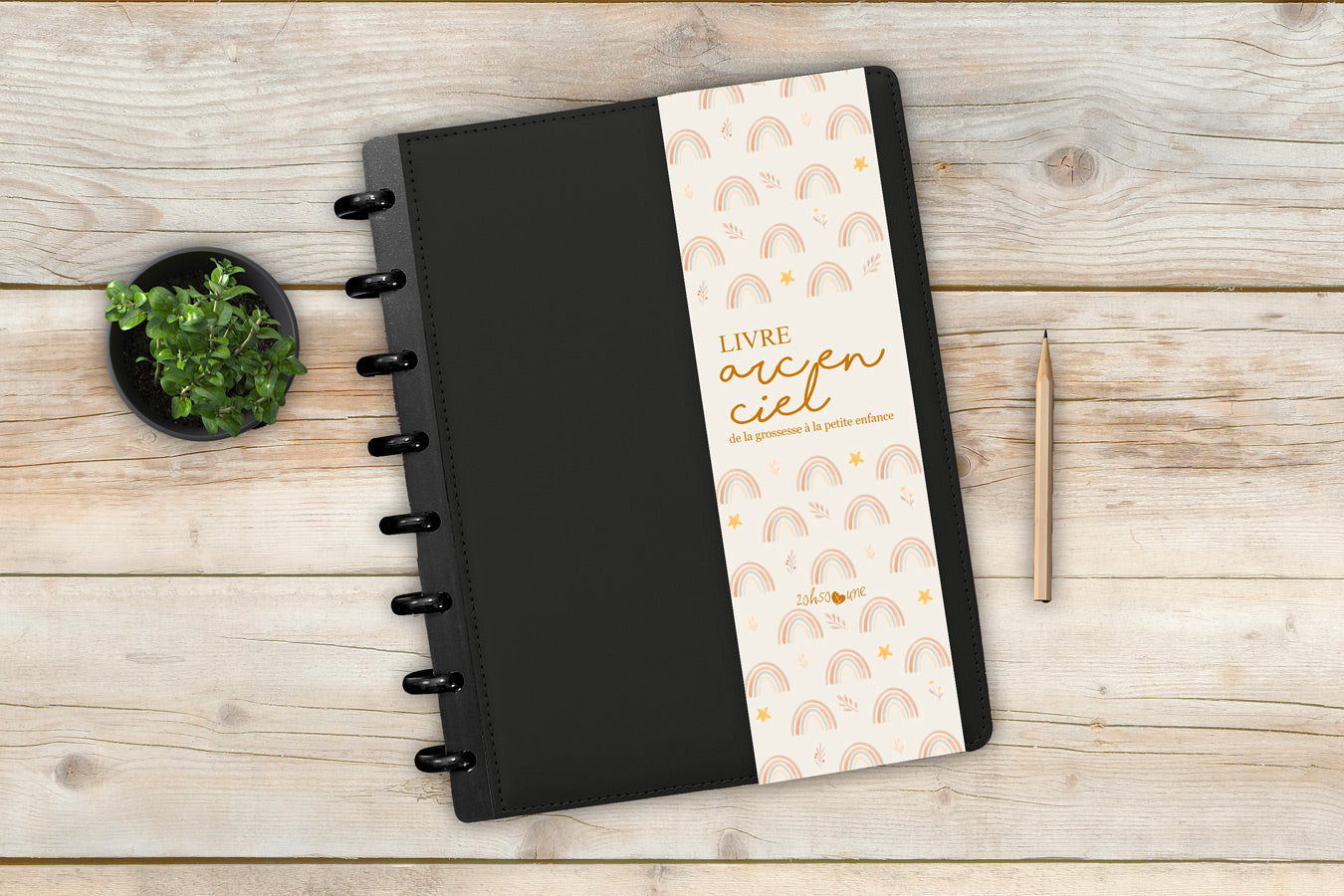 Kit Kassandre - Affiches et livre à disques de la grossesse à la petite enfance