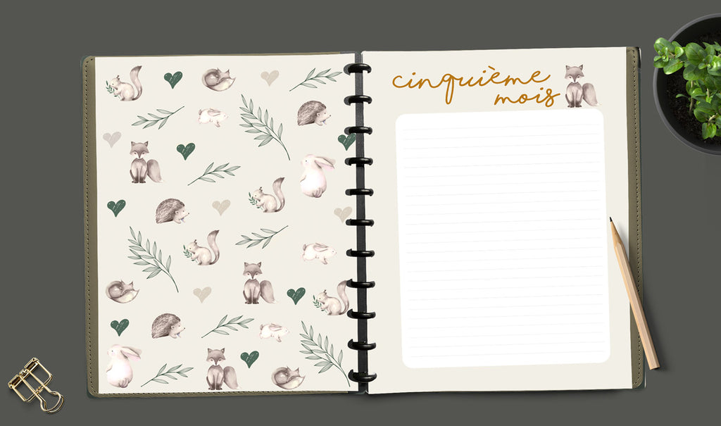 Livre de grossesse et naissance À DISQUES - Douce nature