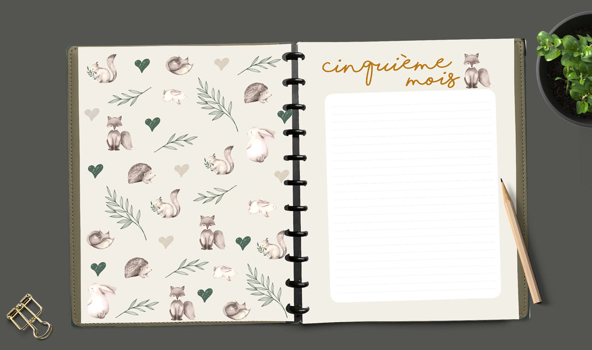 Livre de grossesse et naissance À DISQUES - Douce nature