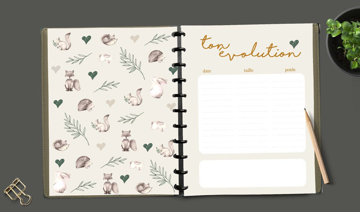 Livre de grossesse et naissance À DISQUES - Douce nature