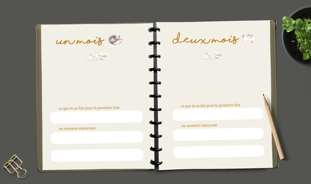 Livre de grossesse et naissance À DISQUES - Douce nature