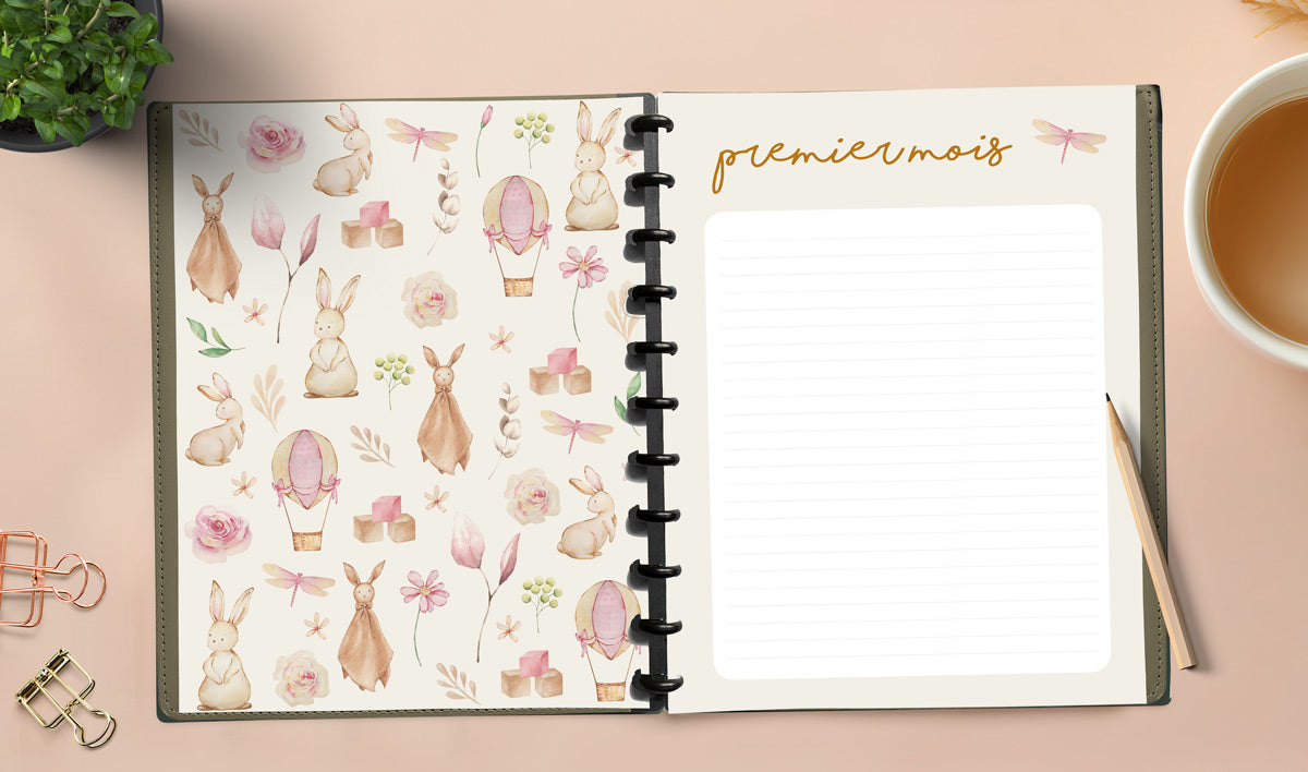 Kit Kassandre - Affiches et livre à disques de la grossesse à la petite enfance