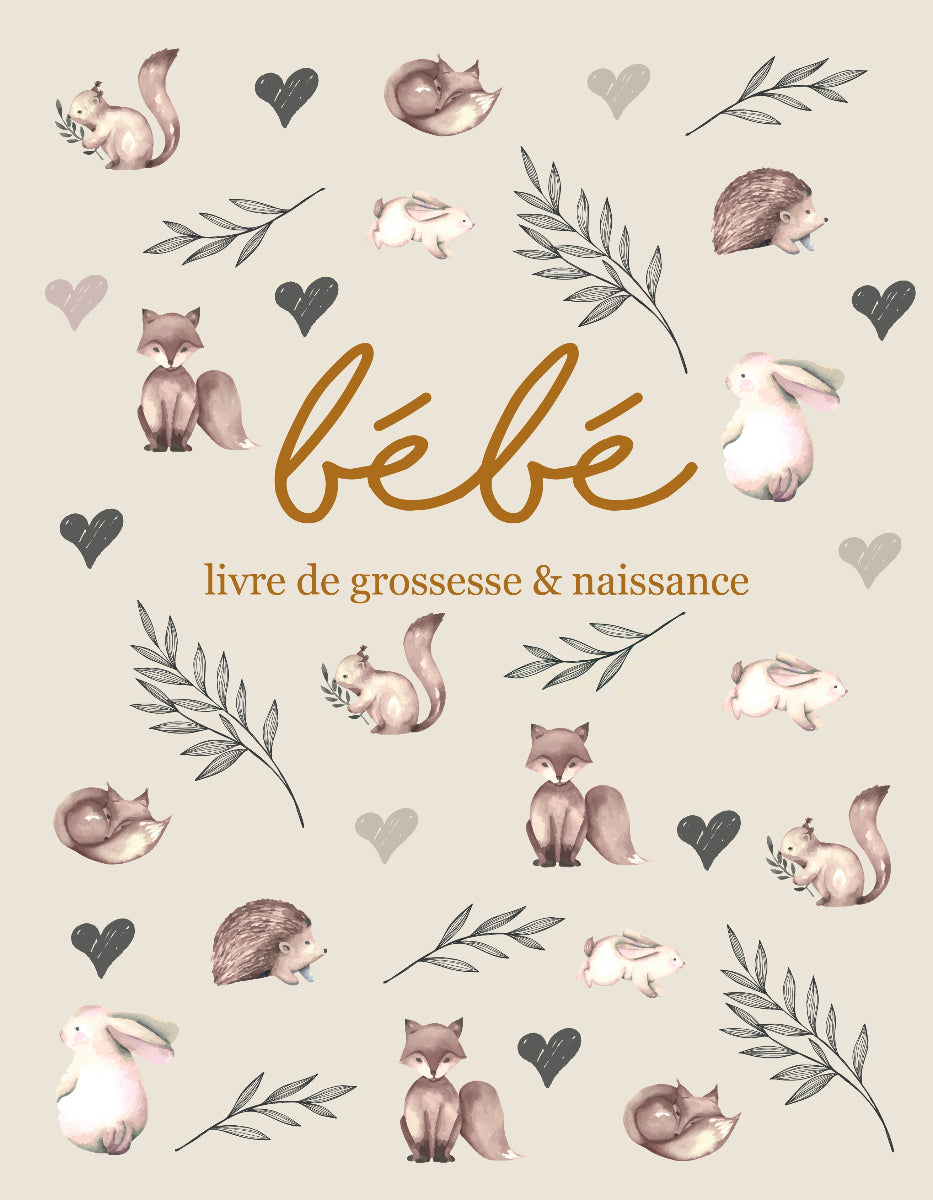 Livre de grossesse et naissance - Livre de bébé