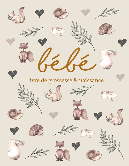 Livre de grossesse et naissance - Livre de bébé