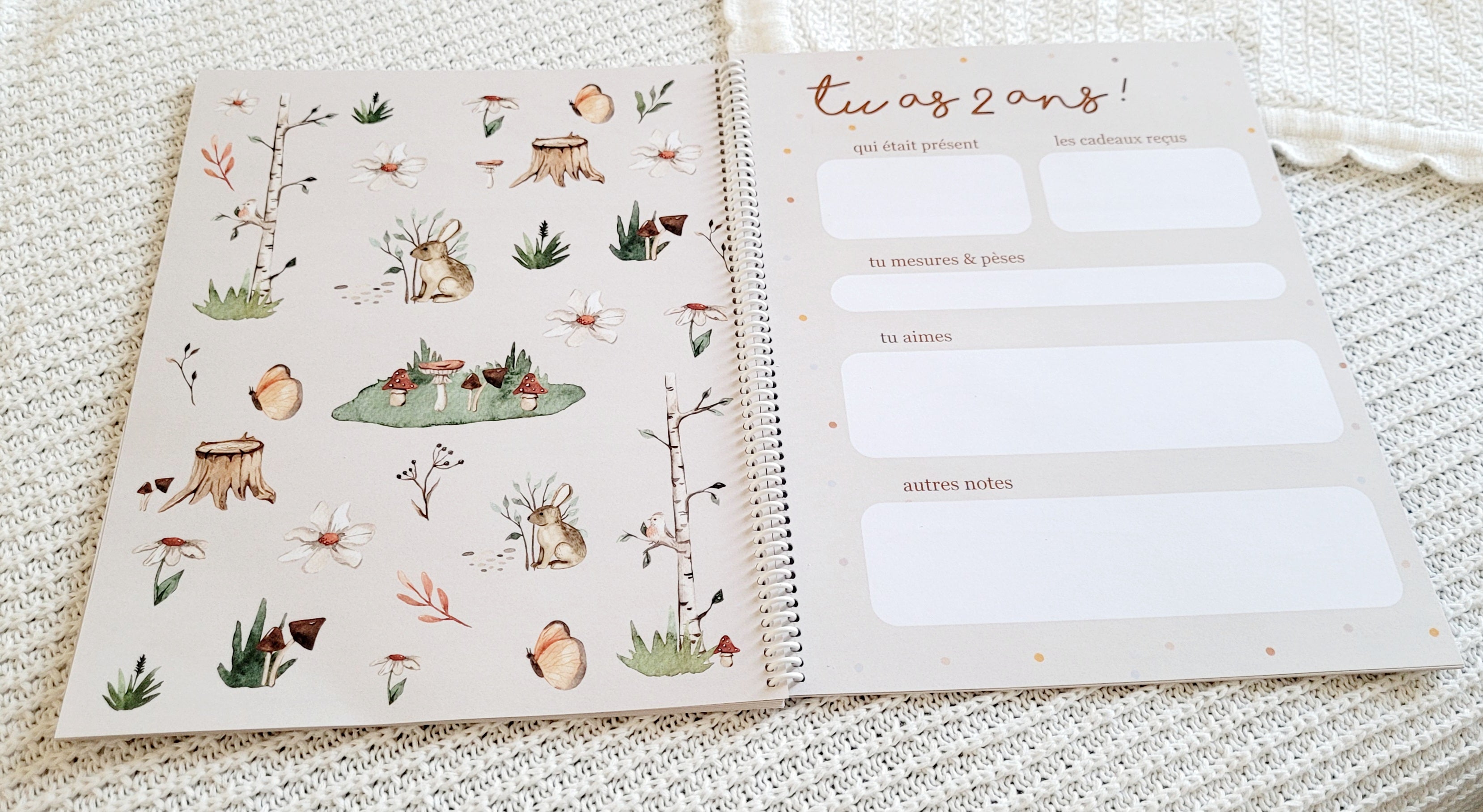 Kit Kassandre - Affiches et livre à disques de la grossesse à la petite enfance