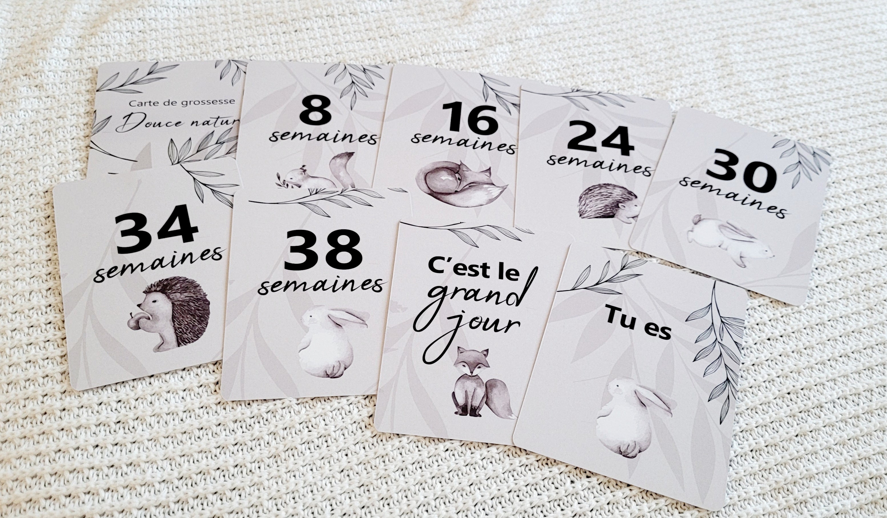Cartes de suivi de grossesse - Douce nature